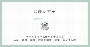 武藤かず子,チームみらい,wiki,経歴,学歴,評判,衆院選,コンサル,政策